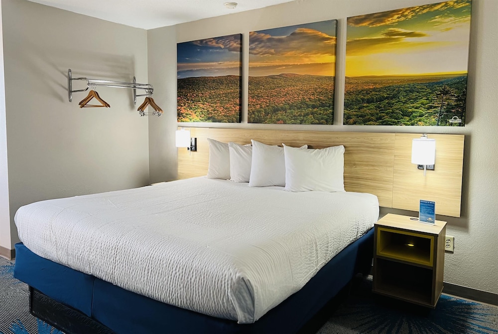 Standard Room, 1 King Bed photo 1