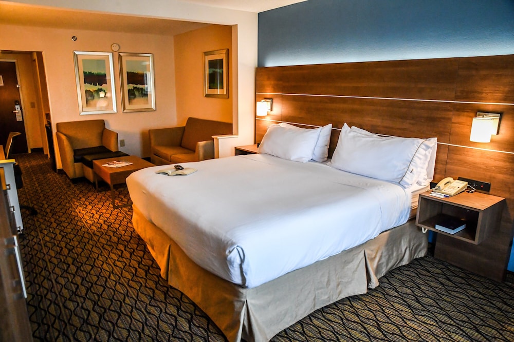 Suite, 1 King Bed - Photo 4