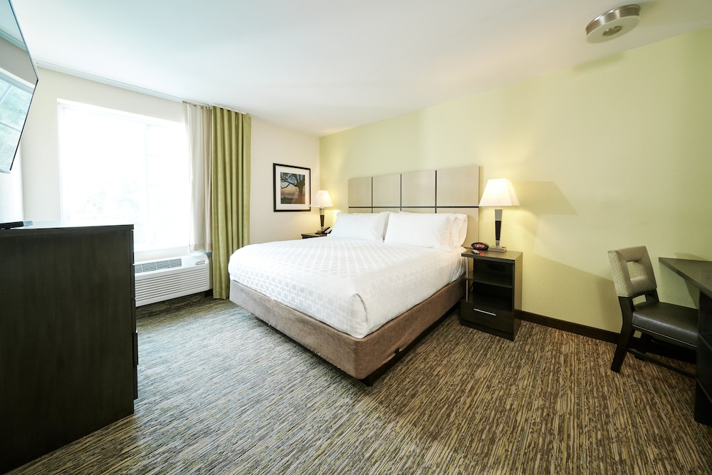 Studio Suite, 1 Queen Bed - Photo 7
