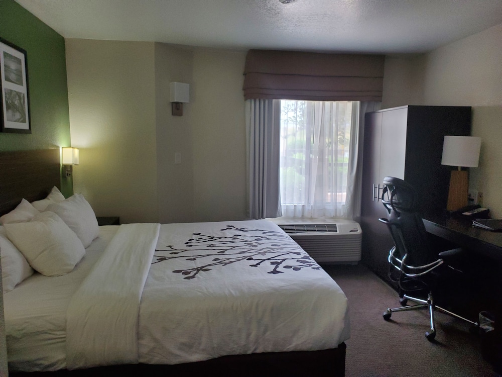 Standard Room, 1 King Bed, Non Smoking - Photo 2