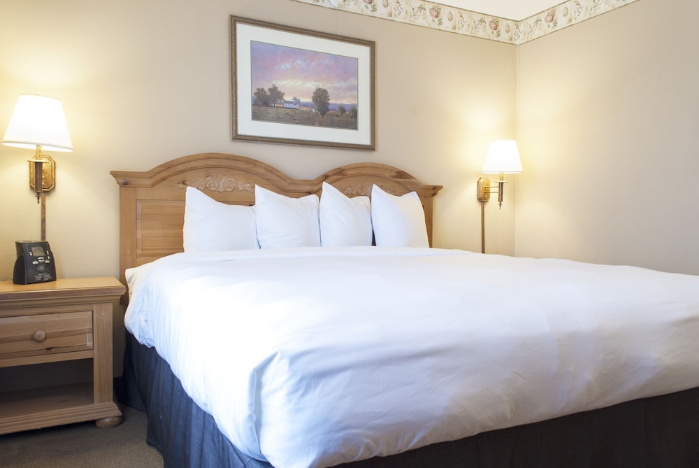 Suite, 1 King Bed, Accessible, Jetted Tub - Photo 3