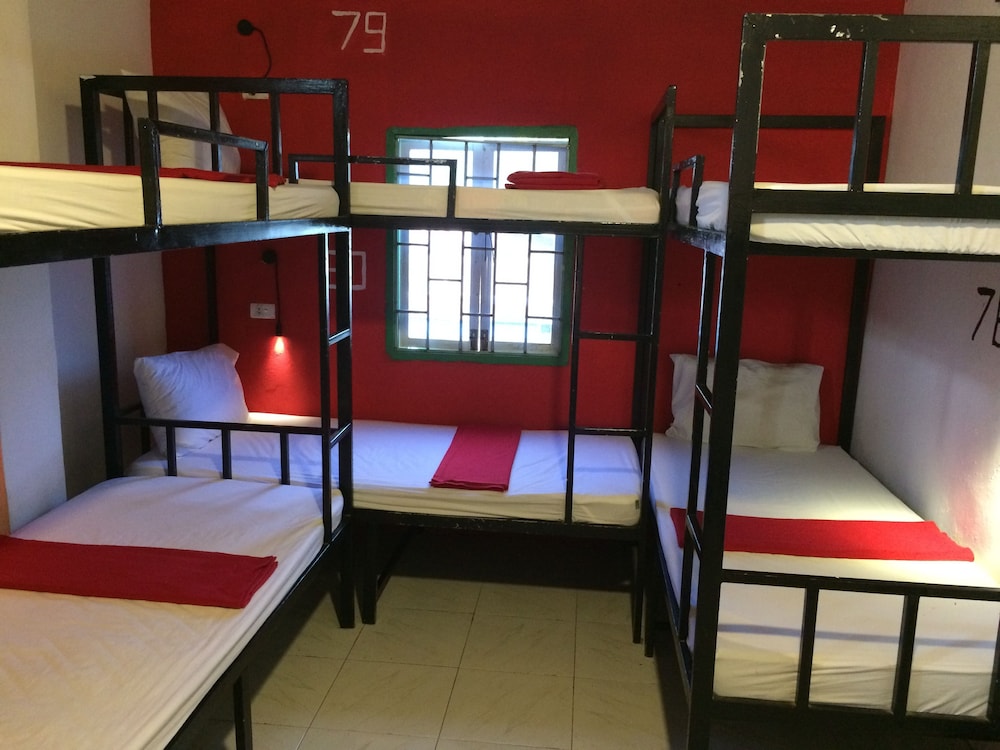 Standard Shared Dormitory photo 1