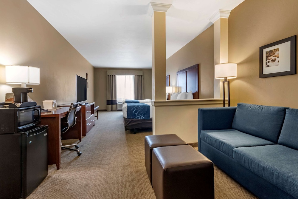 Comfort Suites Airport-University, Billede 2