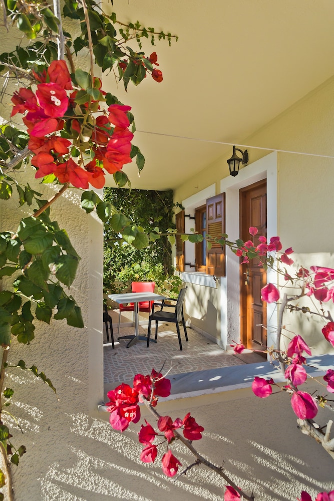 Garden Apartment Ground Floor Sea View photo 3
