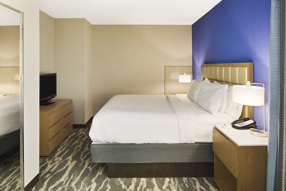 Suite, 1 King Bed, Accessible (Communications) - Photo 1