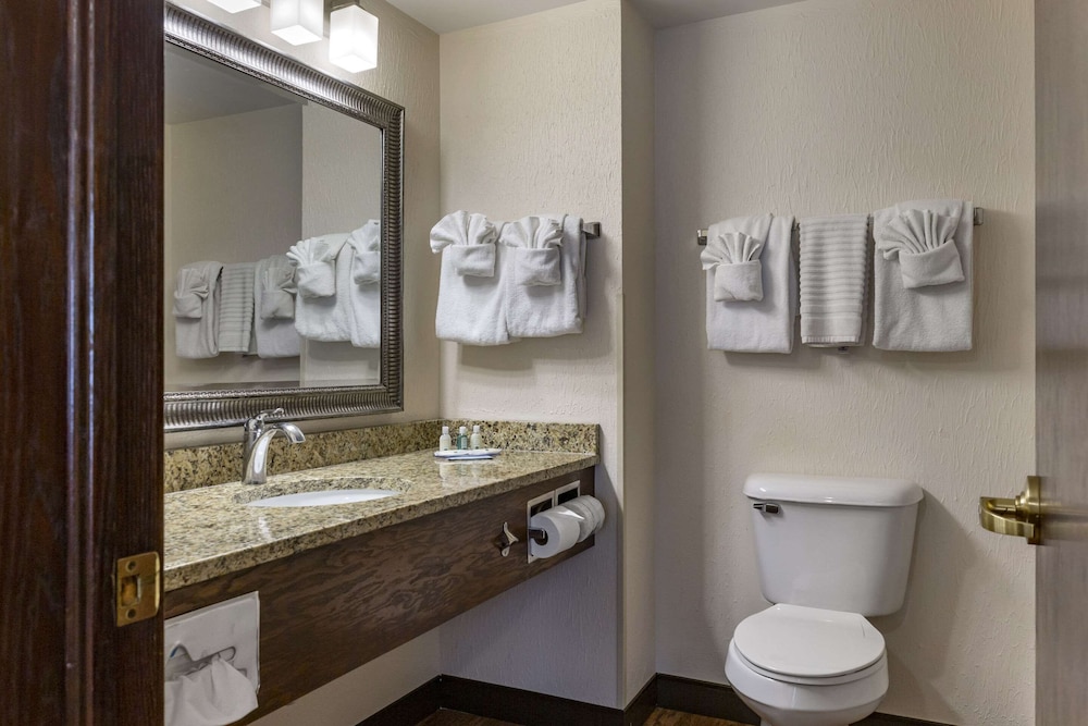 Executive suite Non smoking, King and Sofa bed, Hot Tub (NO PETS) photo 2