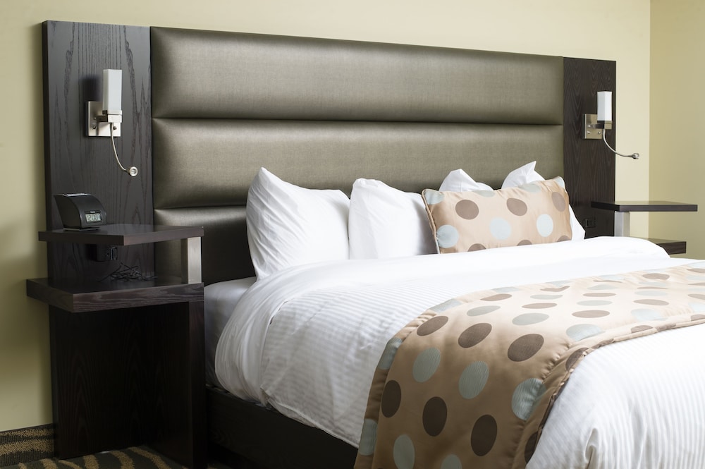 Aqua accessible room 1 king bed - Photo 2