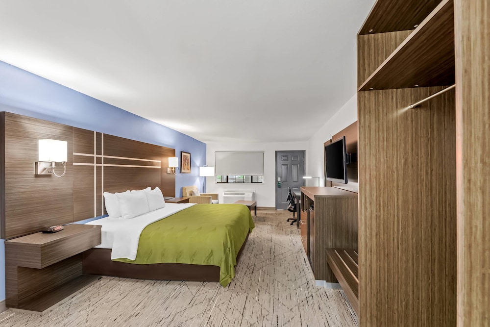 Suite, 1 King Bed, Non Smoking photo 3