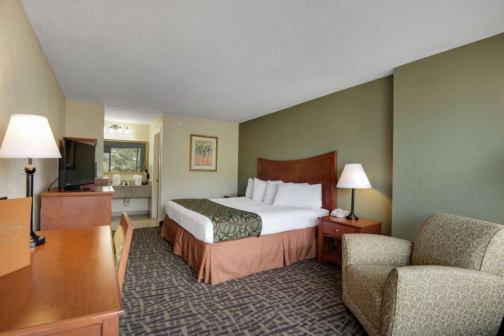 Room, 1 King Bed, Non Smoking