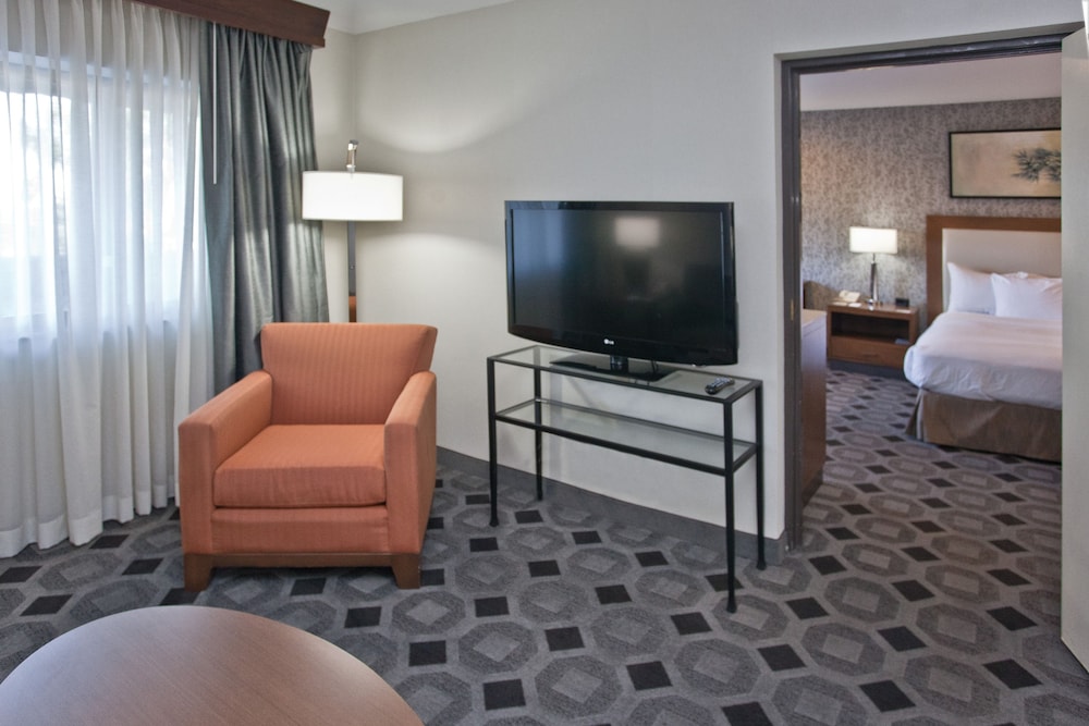 Suite, 1 King Bed, Non Smoking - Photo 5
