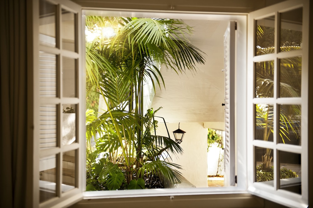 Garden Suite Garden Suite