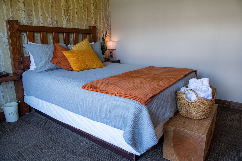 Premier Room, 1 Queen Bed (Boreal) photo 1