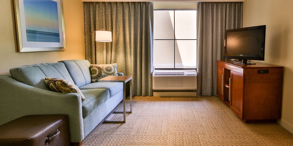 Suite, 1 King Bed, Accessible, Non Smoking - Photo 6
