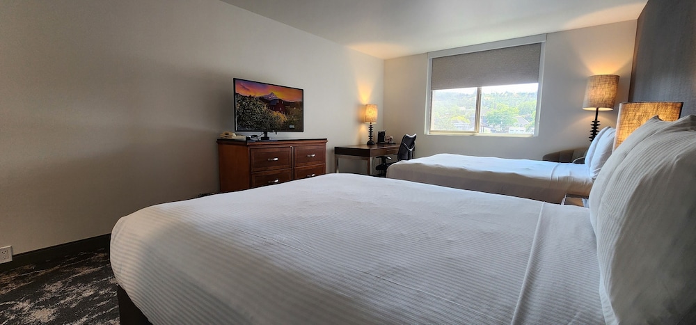 Deluxe Studio, 2 Queen Beds photo 2