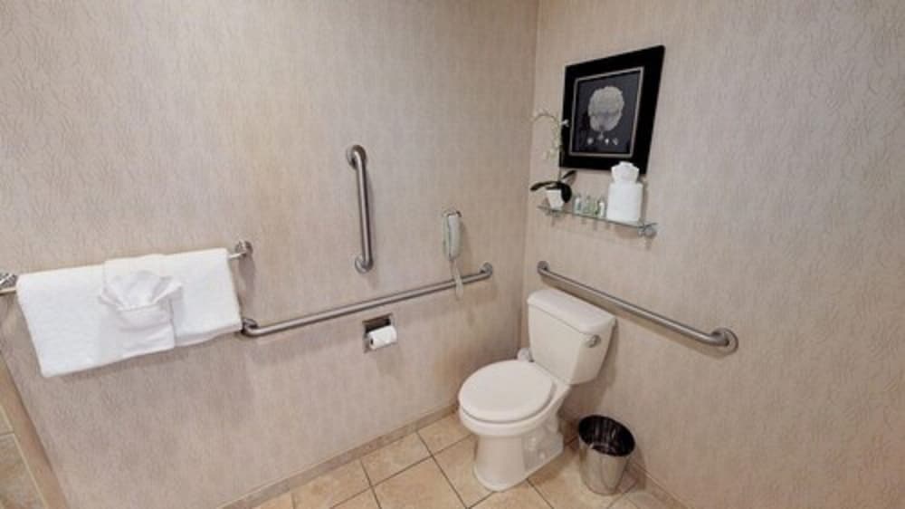 Suite, 1 King Bed, Accessible, Non Smoking (with Sofabed) - Photo 6