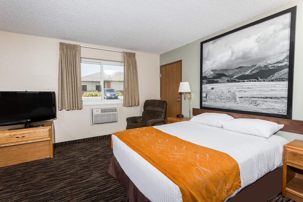 Basic Single Room, 1 Queen Bed, Accessible, Non Smoking (Mobility) photo 1