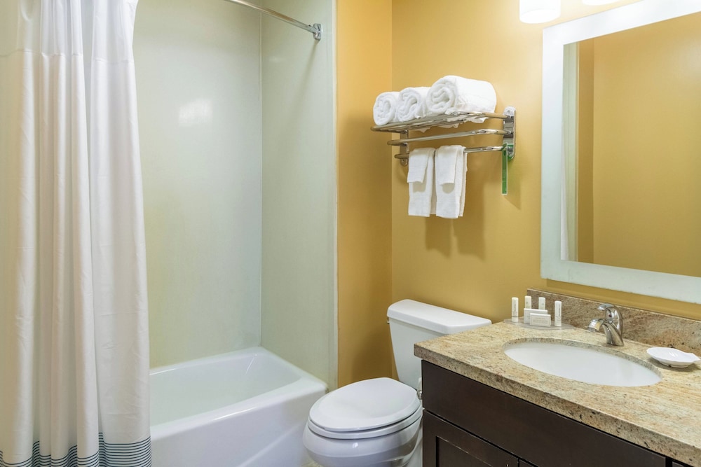 Suite, 1 Bedroom - Photo 5