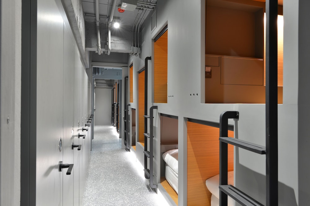 Lady Dorm Plus photo 2