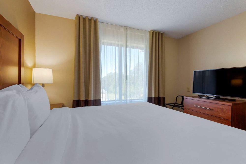 Suite, 1 King Bed with Sofa bed, Non Smoking - Photo 1