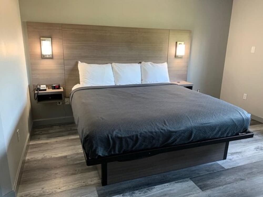 Suite, 1 King Bed, Non Smoking photo 1