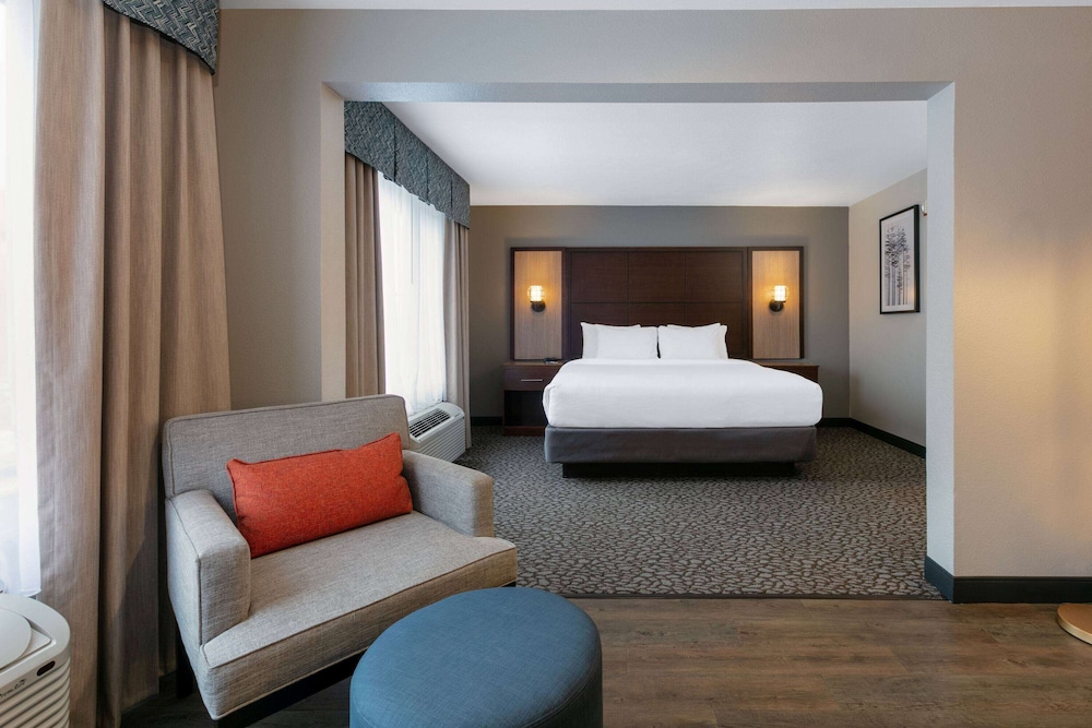 Suite, 1 King Bed, Microwave - Photo 6