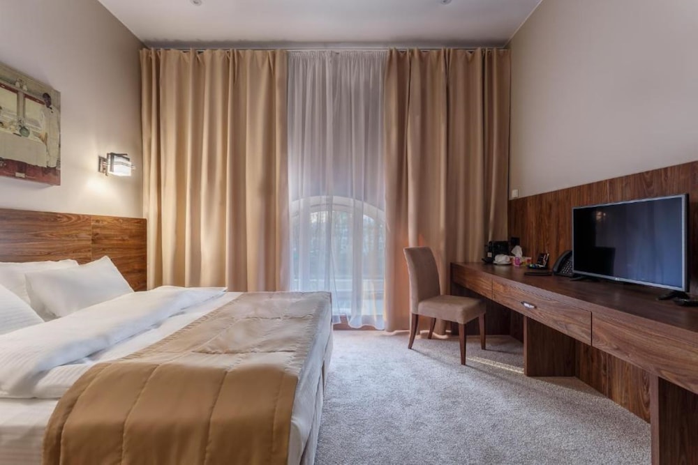 Deluxe Double or Twin Room, City View