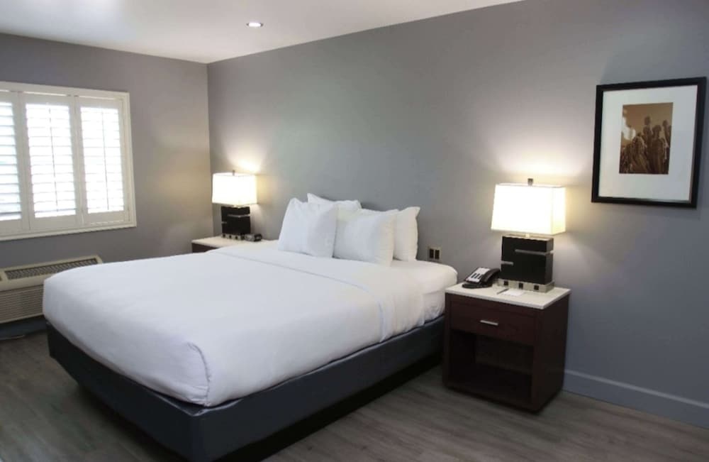 Basic Suite, 1 King Bed, Non Smoking - Photo 1