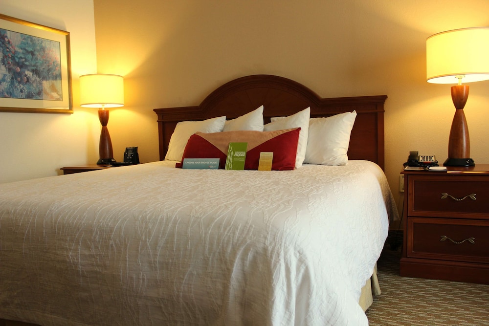 King Bed Accessible Room - Photo 1