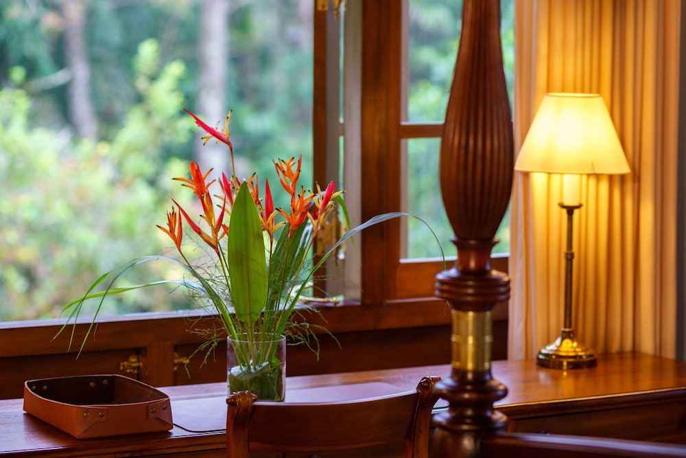 Junior Suite - Photo 4