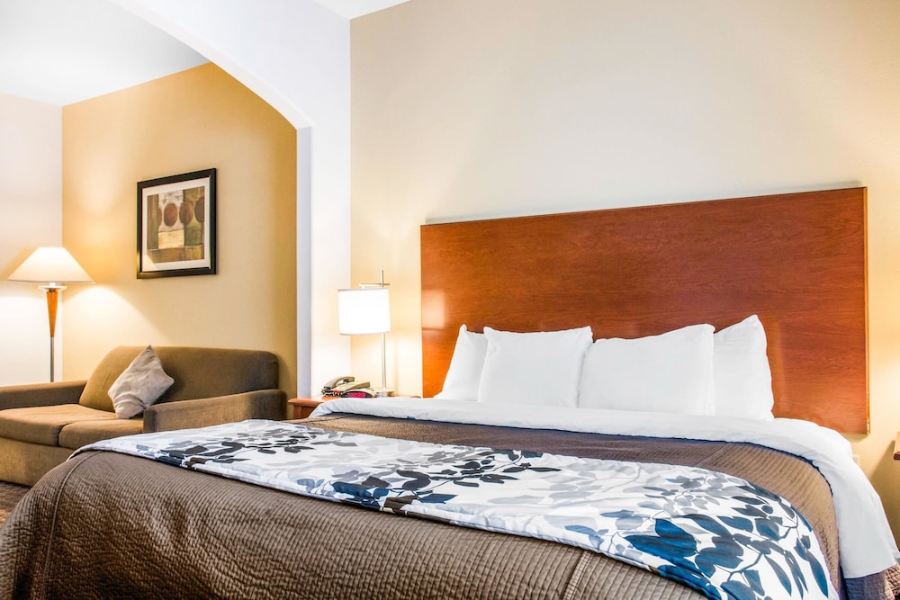 Suite, 1 King Bed, Non Smoking - Photo 2
