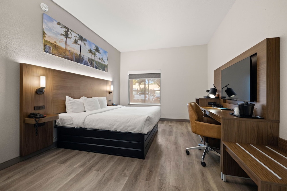 Room, 1 King Bed, Accessible, Non Smoking - Photo 1