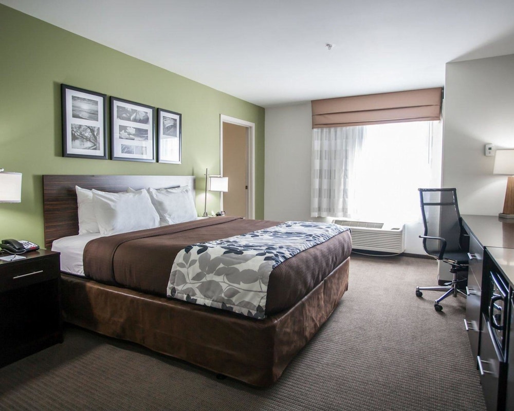 Standard Room, 1 King Bed, Non Smoking photo 2