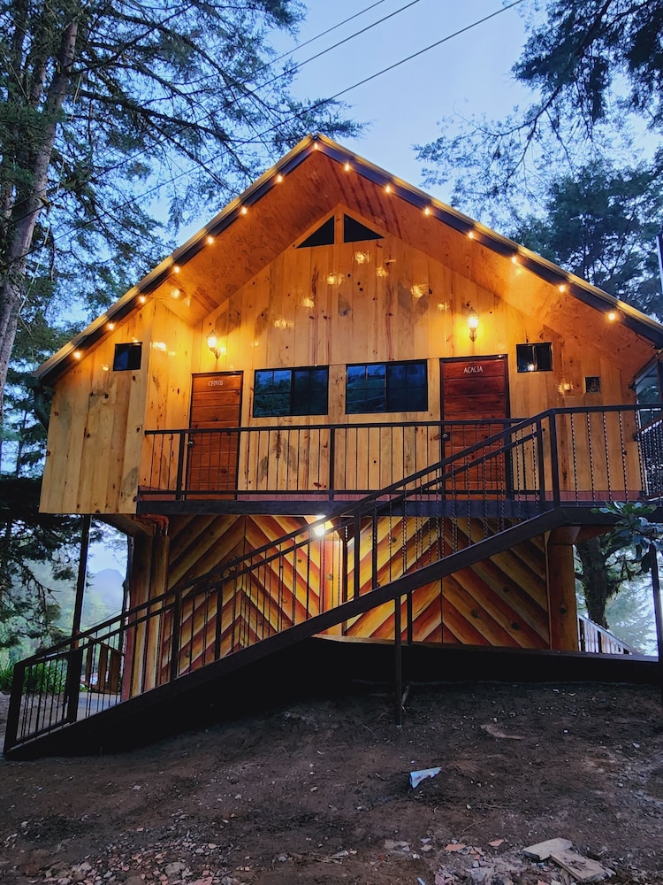 Family Cabin, Mountain View photo 1