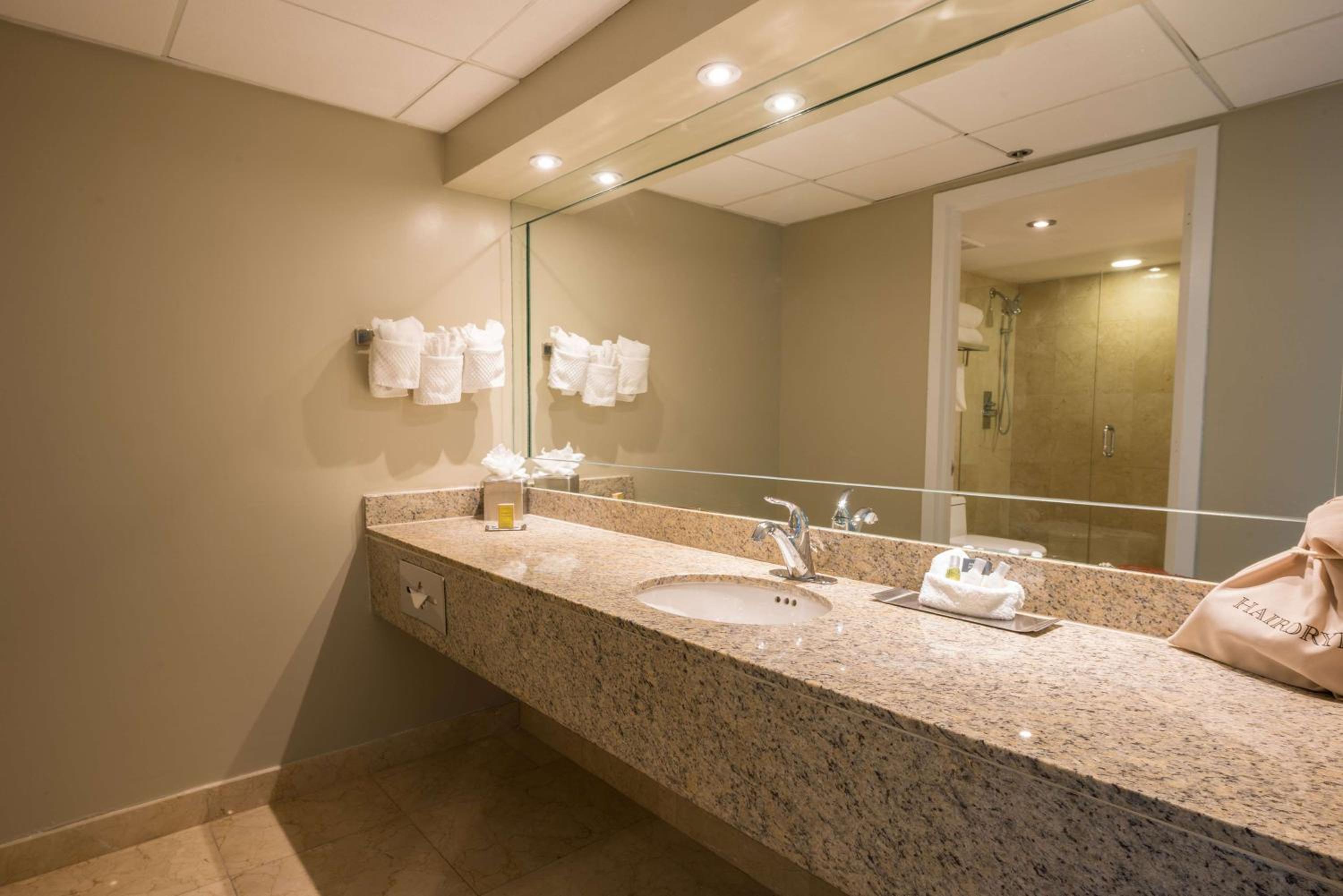 Junior King Suite with Balcony & Bay View photo 2
