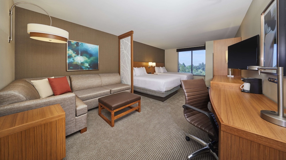 Room, 1 King Bed with Sofa bed, Accessible photo 2