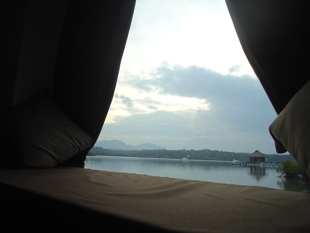 Kura Kura Room - Photo 6