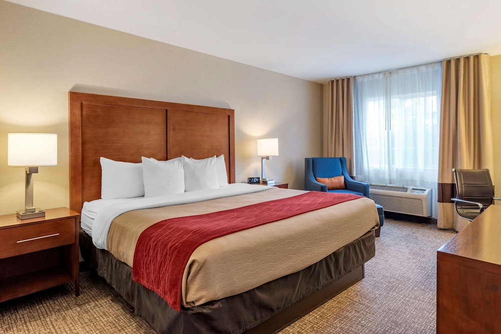 Standard Room, 1 King Bed, Non Smoking photo 3