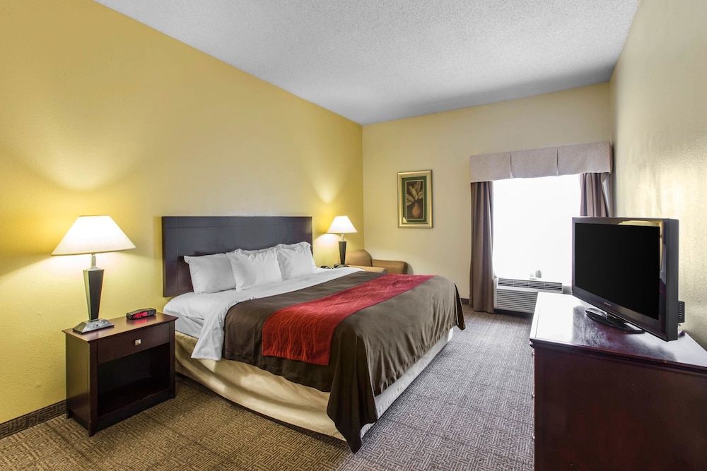 Room, 1 King Bed, Accessible, Non Smoking