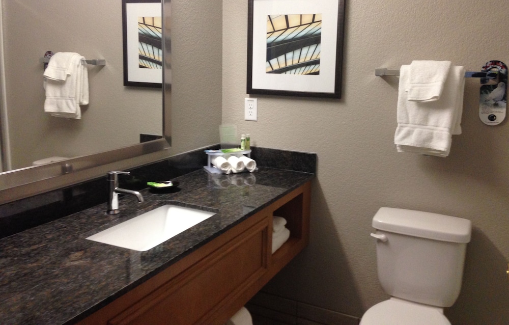 Holiday Inn Express Hotel & Suites Fraser Winter Park Area by IHG, 사진 3