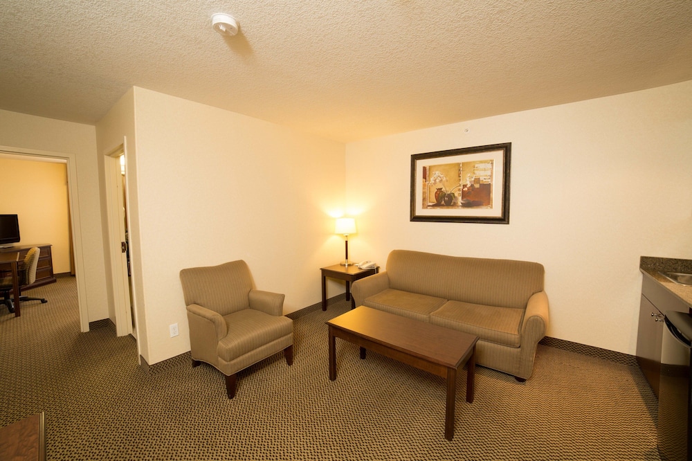 Suite, 1 King Bed, Microwave - Photo 4