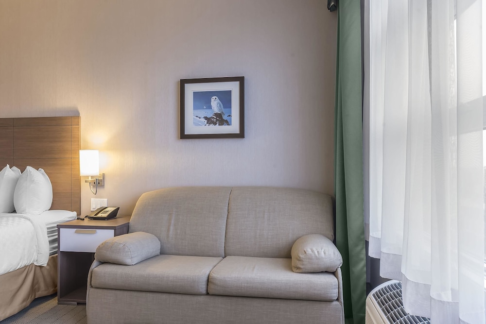 Standard Room, 1 King Bed with Sofa bed photo 1