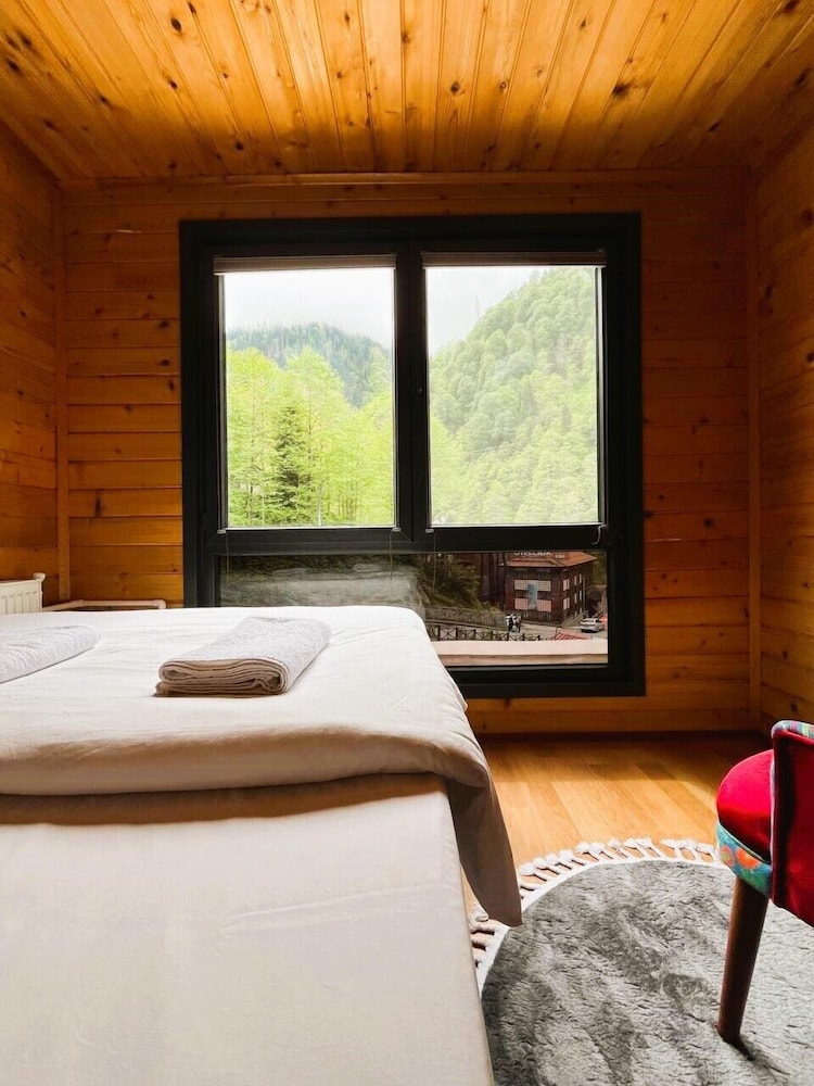 Standard Room, Mountain View