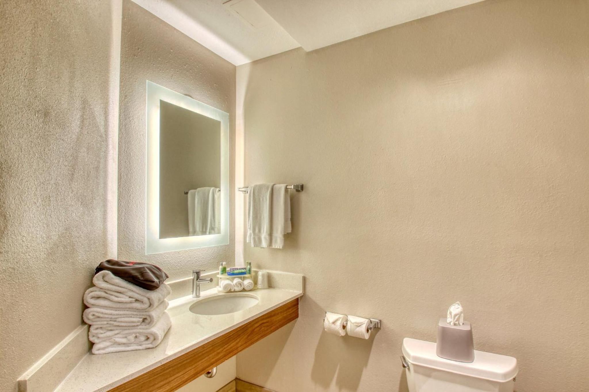 Suite - Mobility Access/Hearing Accessible - Photo 3