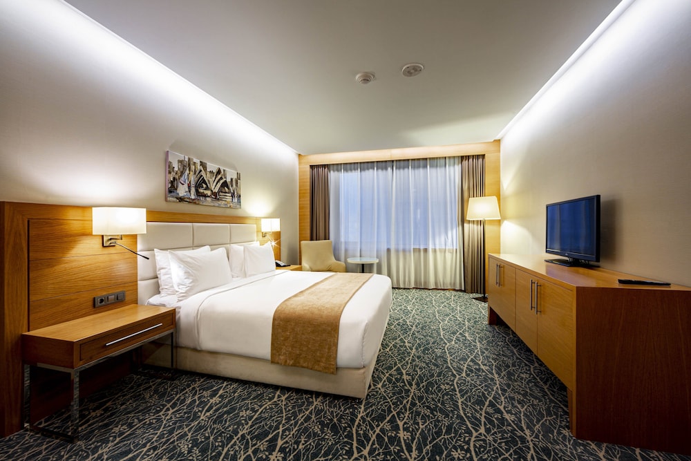 Standard Room, 1 King Bed, Accessible, Smoking photo 3