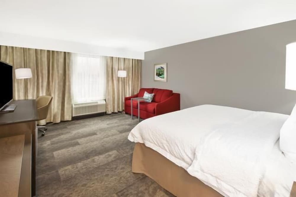 Room, 1 King Bed with Sofa bed, Non Smoking, Refrigerator & Microwave