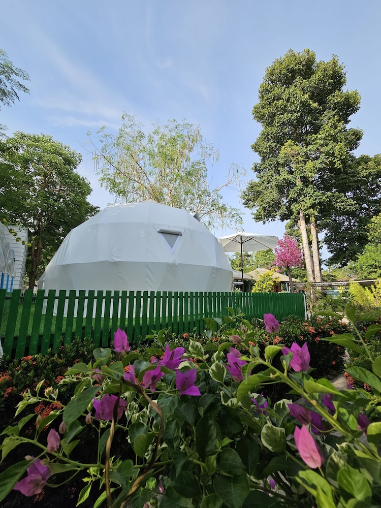 Romantic Tent photo 2