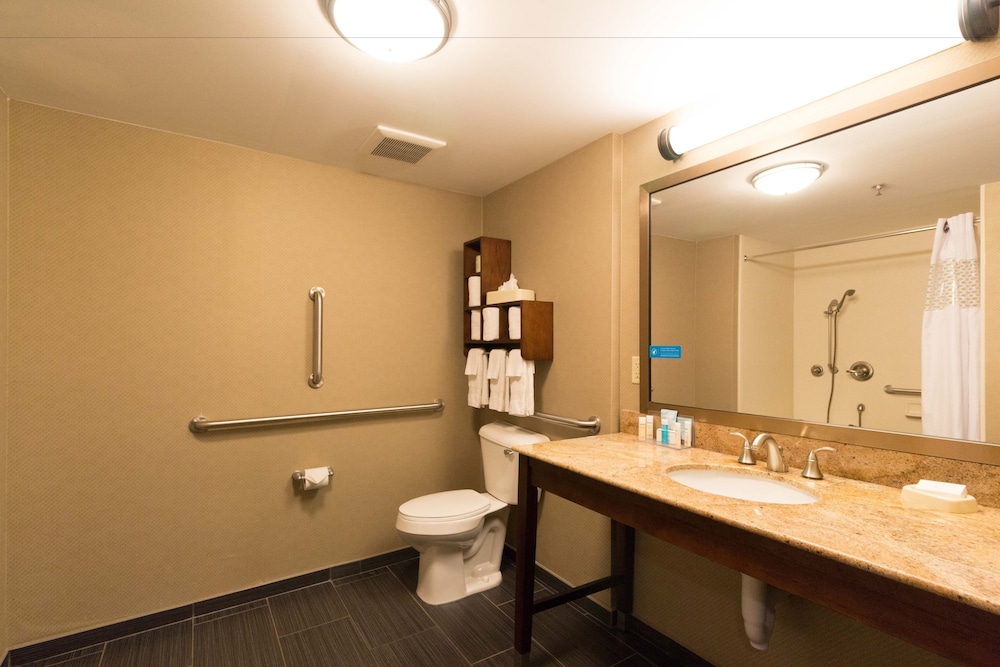 Room, 1 King Bed, Accessible, Non Smoking (Roll-in Shower) - Photo 6