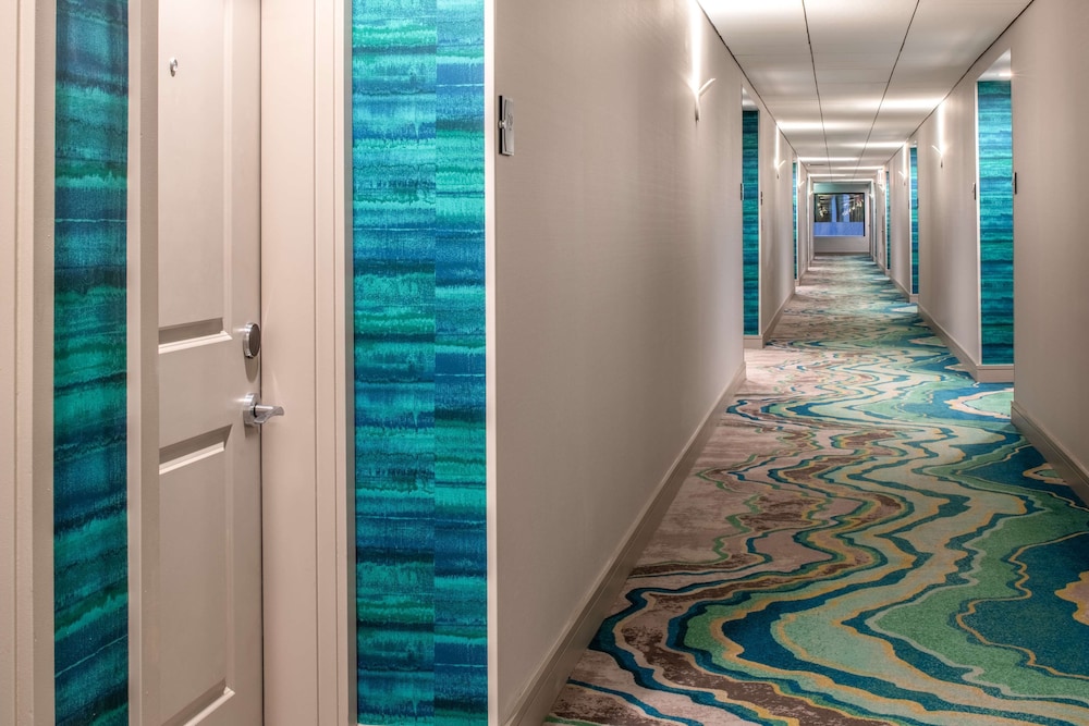 Homewood Suites By Hilton Belmont, Foto 5