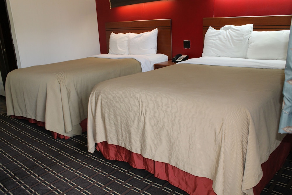 Double Room, 2 Double Beds photo 2