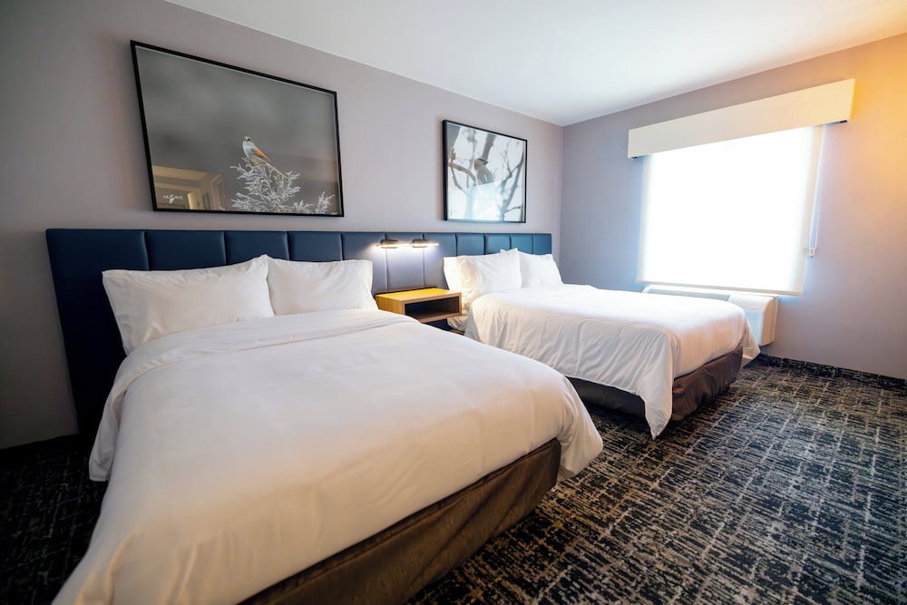 Suite, 1 Bedroom (Dining Area)